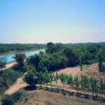 Neelon Ropar Canal in Punjab