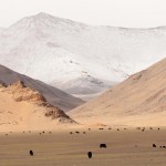 Nice view in Debring, ladakh