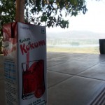 Local Kokum drink