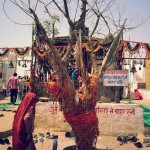 Strings tied on a tree in form of prayers