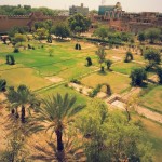 Palace garden