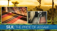Silk - The pride of Assam