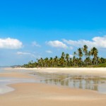 goa