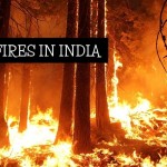 Forest Fires in India