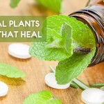 Medicinal Plants in India and Their Uses