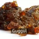 Guggul