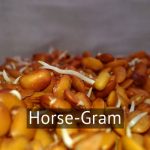 Horse-Gram