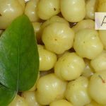 The-Indian-Superfoods-2