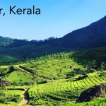 Munnar, Kerala