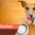 Do Not Overfeed Pets