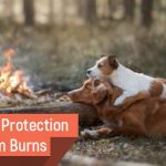 Ensure Pet Protection from Burns