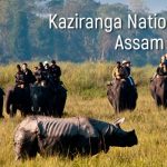 Kaziranga National Park