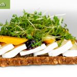 Cheese Sandwich