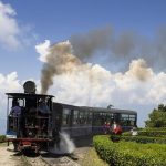 Darjeeling (West Bengal)