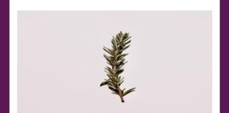 In which book of Shakespeare, is this herb mentioned as ‘for remembrance’? In which book of Shakespeare, is this herb mentioned as 'for remembrance' Amazon Quiz