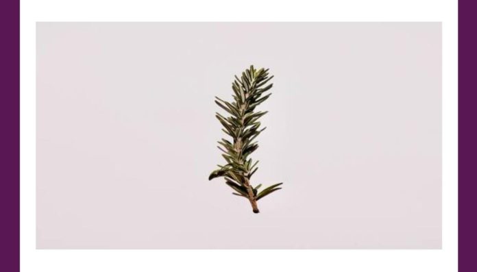 In which book of Shakespeare, is this herb mentioned as 'for remembrance' Amazon Quiz