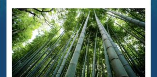 This is a picture of what? | Amazon Quiz This is a picture of what amazon quiz