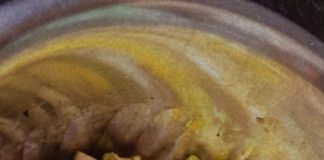 Recipe for Healthy and Simple Sprouts Salad