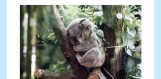 These animals can eat upto a kilogram of what per day? | Amazon Quiz These animals can eat upto a kilogram of what per day Amazon Quiz