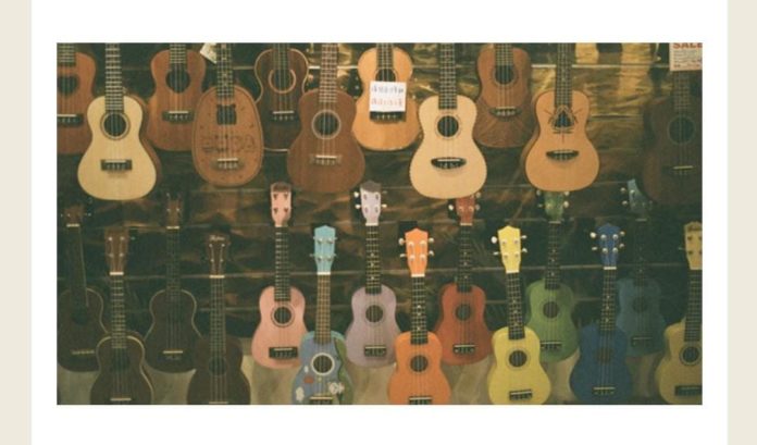Which type of instrument is this classified as Amazon Quiz