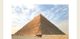 Which unit of measurement is used to measure these structures? | Amazon Quiz Which unit of measurement is used to measure these structures Amazon Quiz