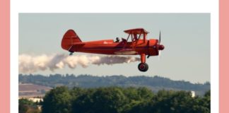 What was the nickname of the German fighter pilot who became famous for flying a plane like this in World War I? | Amazon Quiz What was the nickname of the German fighter pilot who became famous for flying a plane like this in World War I Amazon Quiz