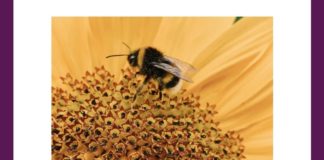 These insects play a major role in which of the following processes? | Amazon Quiz These insects play a major role in which of the following processes?