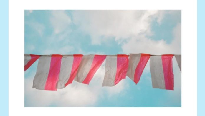 These are the flags of which country amazon quiz