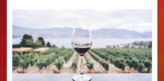 Which biological process do grapes undergo, in order to produce this type of alcohol? | Amazon Quiz Which biological process do grapes undergo, in order to produce this type of alcohol Amazon Quiz