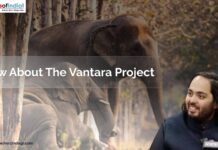 Know About The Vantara Project