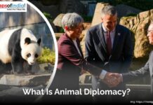 What Is Animal Diplomacy?