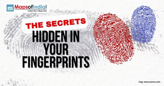 Illustration showing red and blue fingerprint graphics with the bold text "The Secrets Hidden in Your Fingerprints", highlighting biometric identity.
