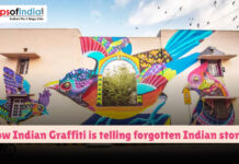 How Indian Graffiti Is Telling Forgotten Indian Stories A vibrant graffiti mural of colorful birds painted across a building wall in India, symbolizing how Indian street art is reviving forgotten local stories.