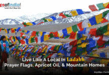 Live Like a Local in Ladakh: Prayer Flags, Apricot Oil, and Mountain Homes A view of Ladakh valley with several colourful flags. The beauty of mountains covered with snow.