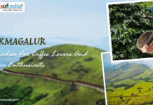 Chikmagalur: A Paradise for Coffee Lovers and Nature Enthusiasts Lush green mountains with text "CHIKMAGALUR A Paradise For Coffee Lovers And Nature Enthusiasts", along with smaller insets of coffee picking and hikers in mountains.