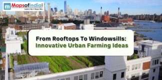 From Rooftops to Windowsills: Innovative Urban Farming Ideas Rooftop garden with rows of green plants on white buildings, city skyline in the background.