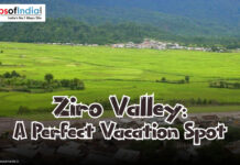 Ziro Valley: A Perfect Vacation Spot Scenic view of Ziro Valley with lush green fields and distant hills, featuring text "Ziro Valley: A Perfect Vacation Spot."