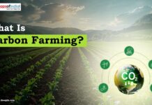 What Is Carbon Farming?
