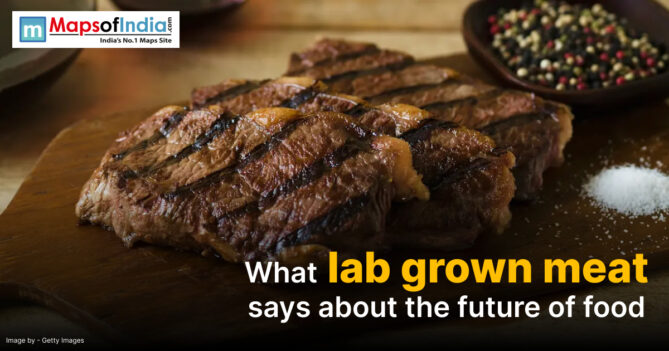 Grilled lab-grown meat steak served on a wooden board with pepper and salt, illustrating the concept of lab-grown meat and the future of food.