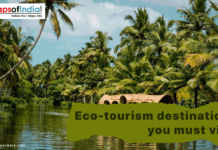 Eco-Tourism Destinations You Must Visit a beautiful image of seaside view with trees