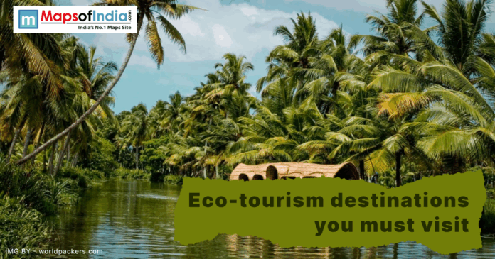 eco tourism a beautiful image of seaside view with trees