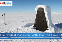 The Coldest Places on Earth That Still Have Life A view of area filled with snow and highlighting the coldest places on earth
