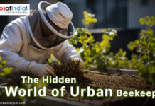 The Hidden World of Urban Beekeeping Beekeeper in protective gear inspecting a hive on a rooftop garden surrounded by green plants.