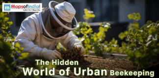 The Hidden World of Urban Beekeeping Beekeeper in protective gear inspecting a hive on a rooftop garden surrounded by green plants.