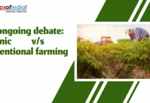 The Ongoing Debate: Organic vs Conventional Farming A farmer working in a lush green field with a tractor in the background, illustrating the debate between organic and conventional farming methods.