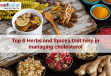 Top 6 Herbs and Spices That Help in Managing Cholesterol Image of Indian herbs