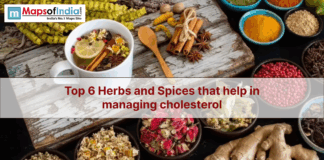 Top 6 Herbs and Spices That Help in Managing Cholesterol Image of Indian herbs