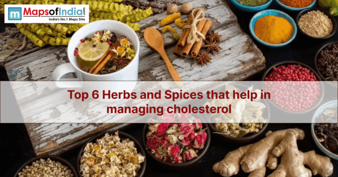 Image of Indian herbs