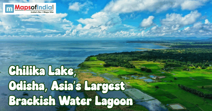 Aerial view of Chilika Lake in Odisha, India, with green fields meeting the blue brackish water lagoon under a bright, cloudy sky and Maps of India logo and title text overlay.