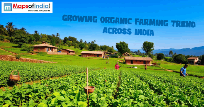 An image featuring a lush green hillside farm in India with the text "GROWING ORGANIC FARMING TREND ACROSS INDIA" in the sky. The landscape shows rows of vibrant crops, traditional brick houses with tiled roofs, and farmers working in the fields under a clear blue sky.